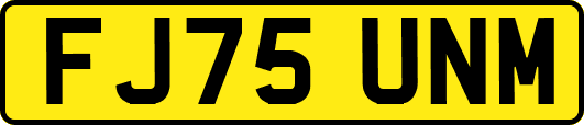 FJ75UNM