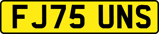 FJ75UNS