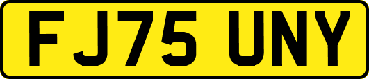 FJ75UNY