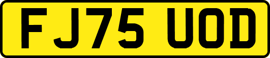 FJ75UOD