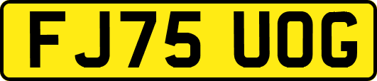 FJ75UOG