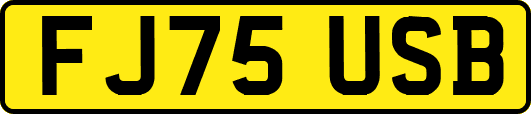 FJ75USB
