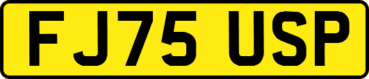 FJ75USP