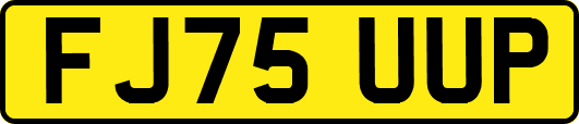 FJ75UUP