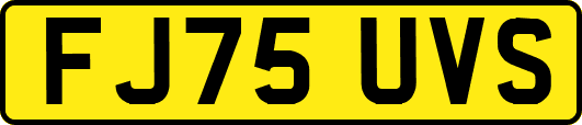 FJ75UVS