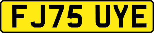 FJ75UYE