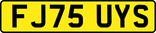 FJ75UYS