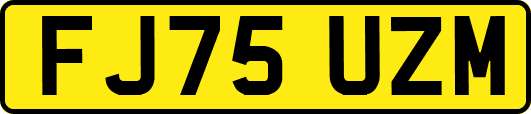 FJ75UZM