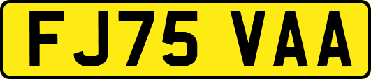FJ75VAA