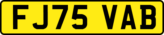 FJ75VAB