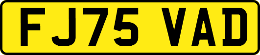 FJ75VAD