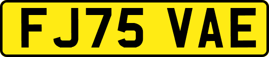 FJ75VAE