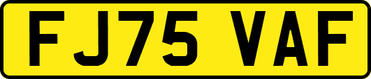 FJ75VAF