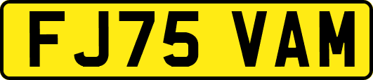 FJ75VAM