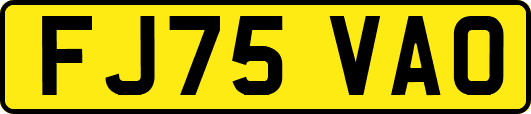 FJ75VAO