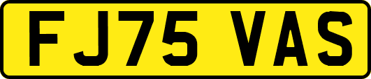 FJ75VAS