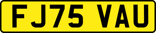 FJ75VAU
