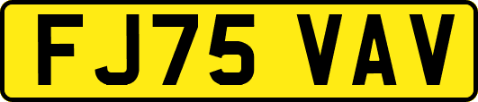 FJ75VAV