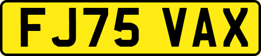 FJ75VAX