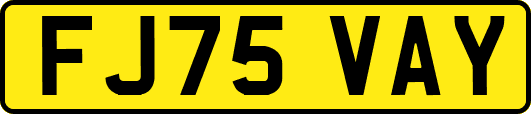 FJ75VAY