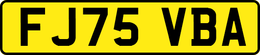 FJ75VBA