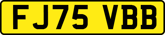 FJ75VBB