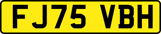 FJ75VBH