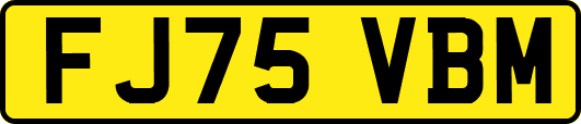 FJ75VBM