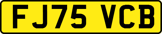 FJ75VCB