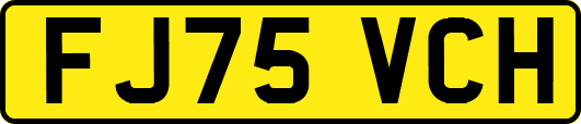 FJ75VCH