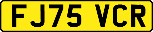 FJ75VCR