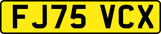 FJ75VCX