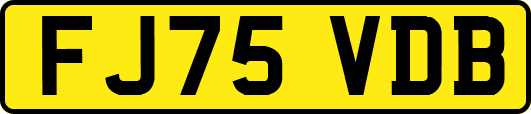 FJ75VDB