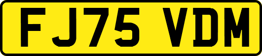 FJ75VDM