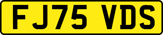 FJ75VDS