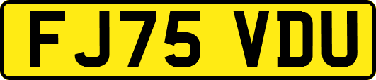 FJ75VDU