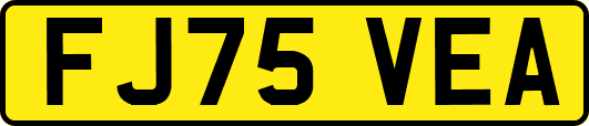 FJ75VEA