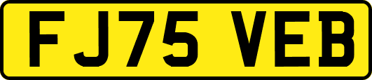 FJ75VEB