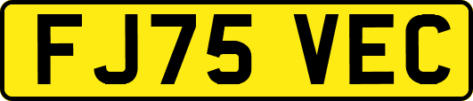 FJ75VEC