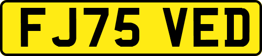 FJ75VED