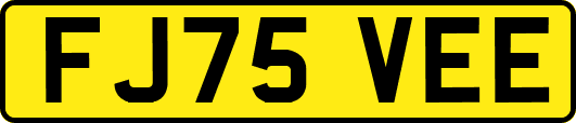 FJ75VEE