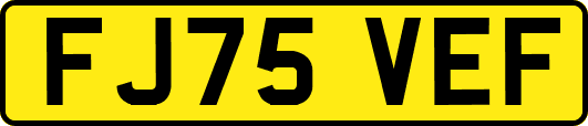FJ75VEF
