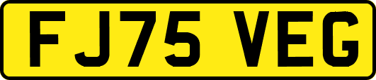 FJ75VEG