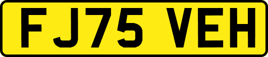FJ75VEH