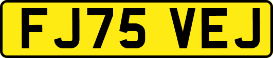 FJ75VEJ