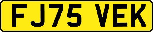 FJ75VEK