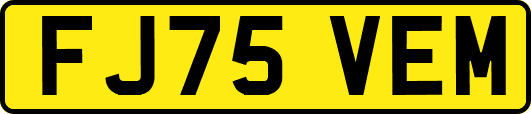 FJ75VEM
