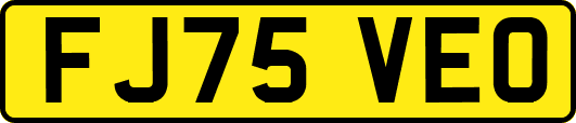 FJ75VEO