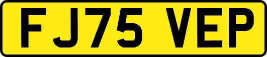 FJ75VEP