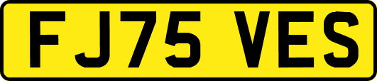 FJ75VES